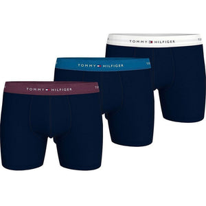3P Boxer Brief Wb Heritage Plum/Unity Blue/White / XL