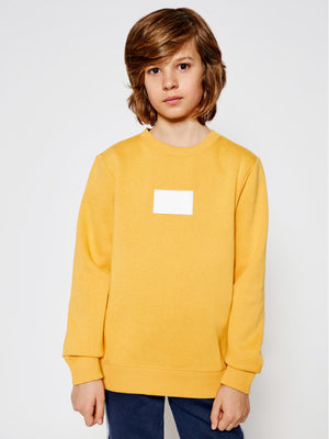 Reflective Ck Badge Sweatshirt Sulfur Yellow / 10