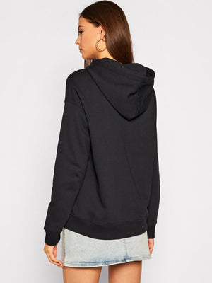 Relaxed Oco Flag Hoodie Ls Desert Sky / L