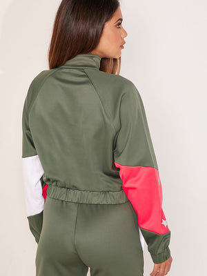 Blocked Poly Jacket Beetle / LG