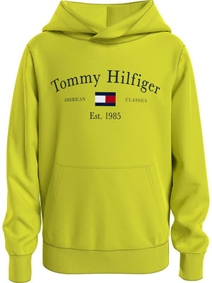 Th Artwork Hoodie Neo Lime / 10