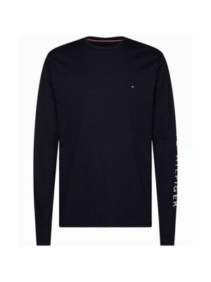 Tommy Logo Long Slee Desert Sky / L