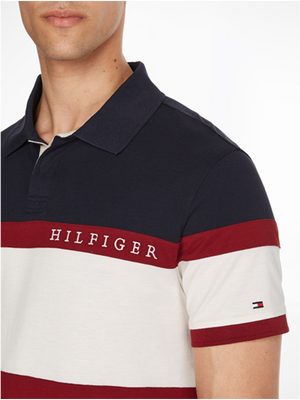 Rugby Chest Panelling Reg Polo Desert Sky / Multi / L