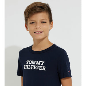 Tommy Hilfiger Logo/ Dw5/ 12 Desert Sky / 12