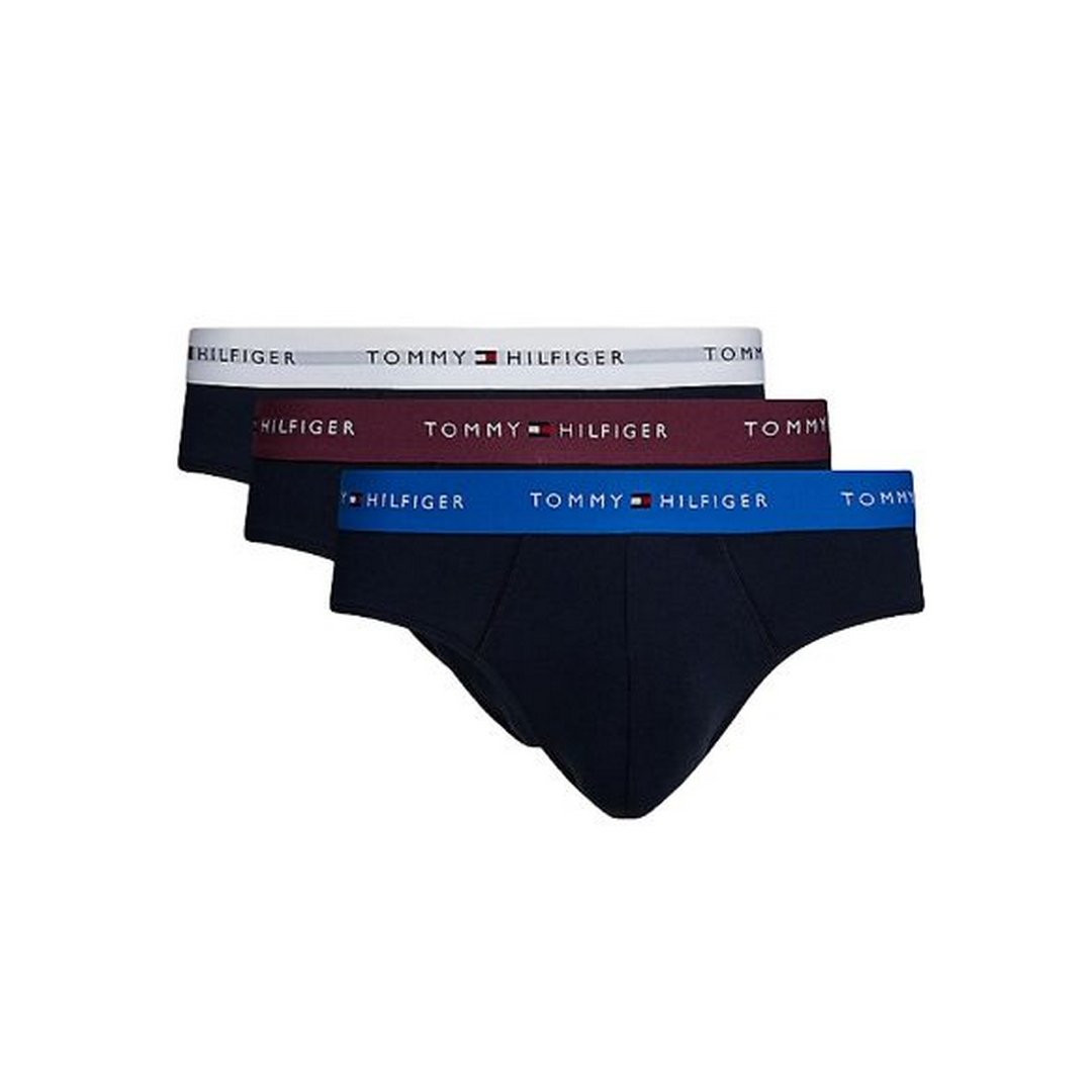 3P Brief Wb Heritage Plum/Unity Blue/White / XL
