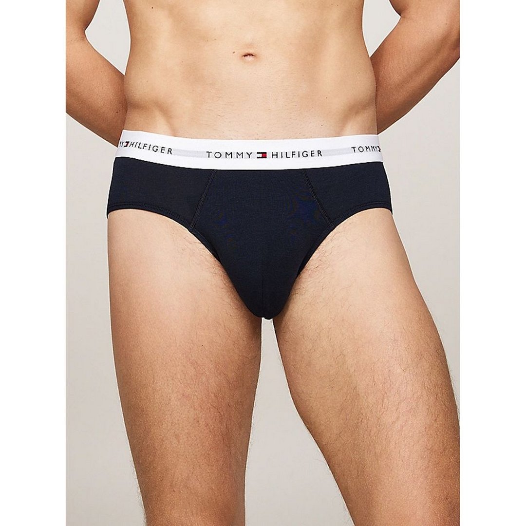 3P Brief Wb Heritage Plum/Unity Blue/White / XL