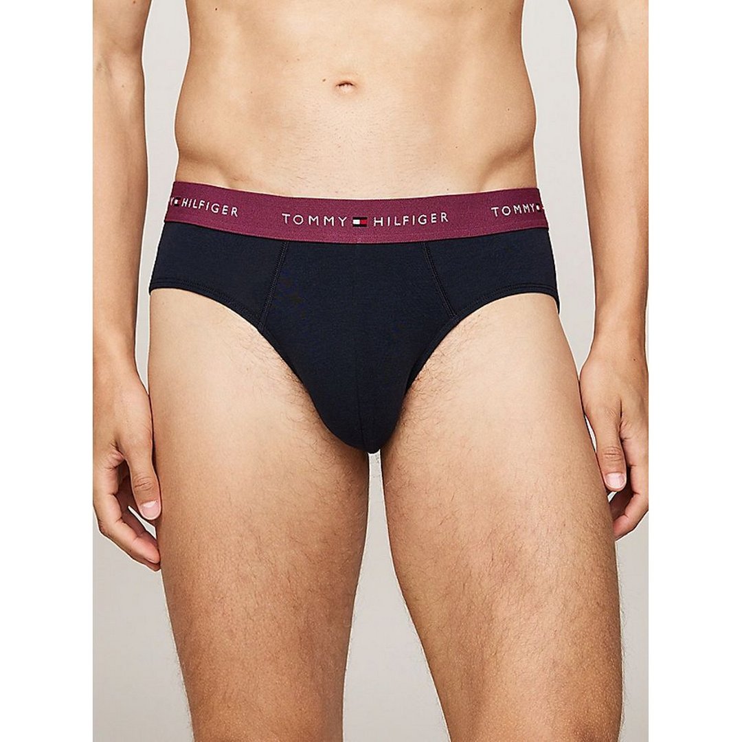 3P Brief Wb Heritage Plum/Unity Blue/White / XL