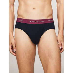3P Brief Wb Heritage Plum/Unity Blue/White / XL