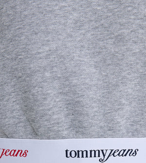 Tjw Boxy Crp Tape Crew Ext Grey Htr / L