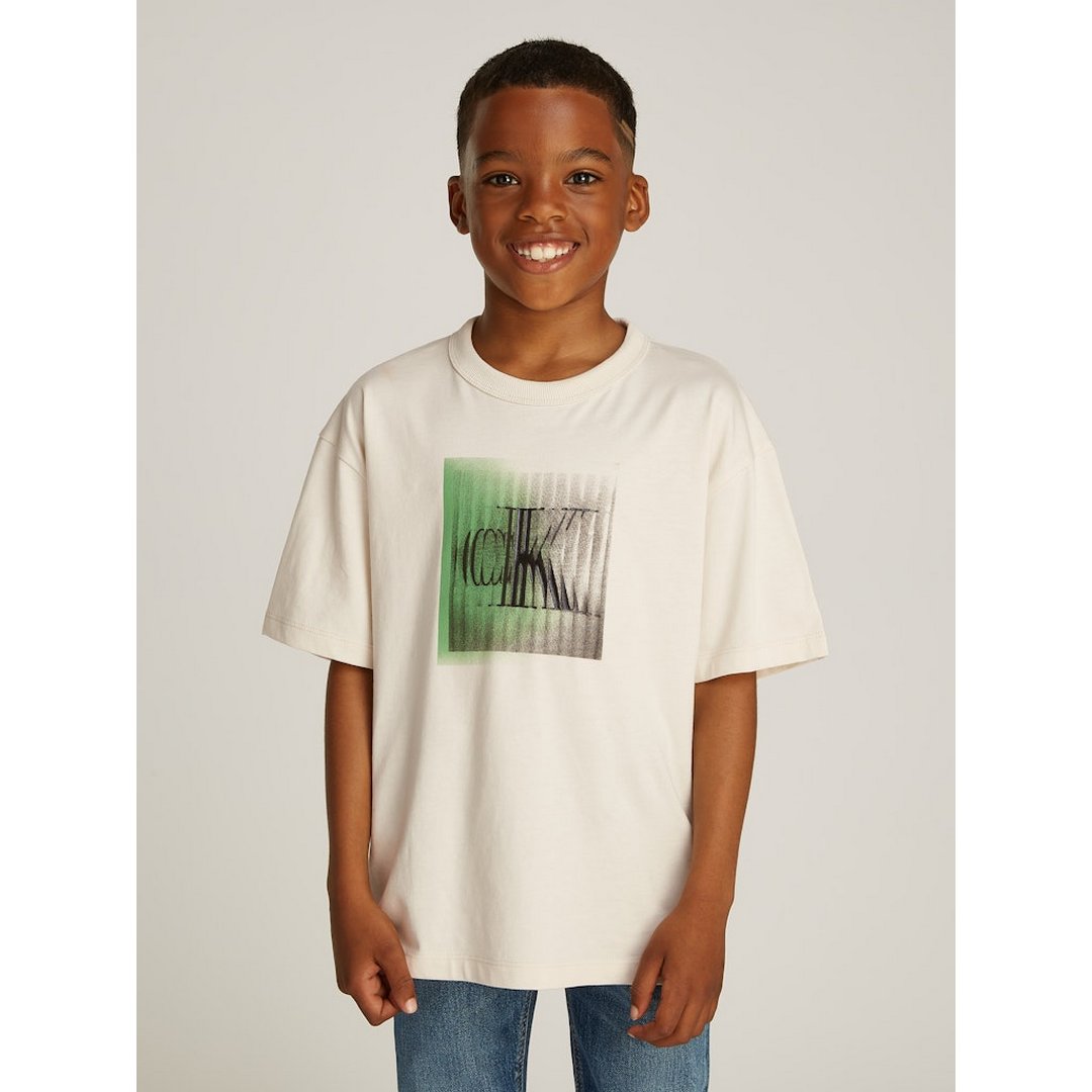 Large Shifted Ck Ss T-Shirt Turtledove / 10