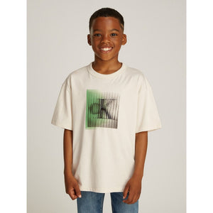 Large Shifted Ck Ss T-Shirt Turtledove / 10